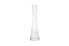 Clear Glass Vase – Elegant Minimalist Flower & Indoor Plant Vase