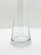 Clear Glass Vase – Elegant Minimalist Flower & Indoor Plant Vase