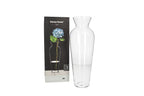 Clear Glass Plant Vase 30cm | Tall Decorative Flower Vase