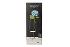 Clear Glass Plant Vase 30cm | Tall Decorative Flower Vase