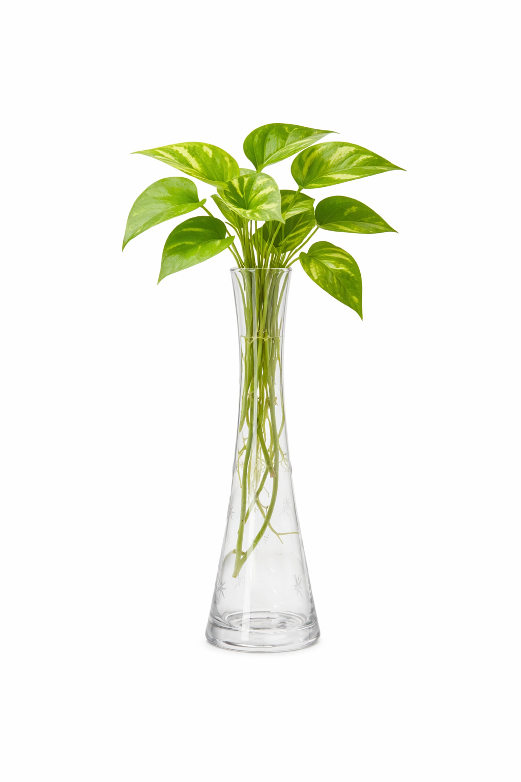 Clear Glass Vase – Elegant Minimalist Flower & Indoor Plant Vase