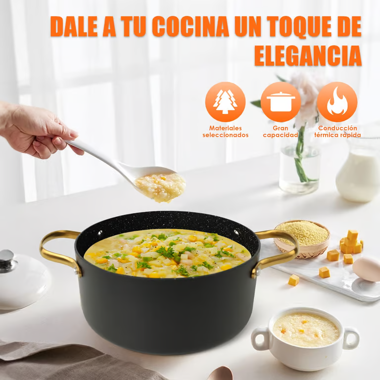 Non-Stick Casserole Cooking Pot with Glass Lid | Matte Black & Gold